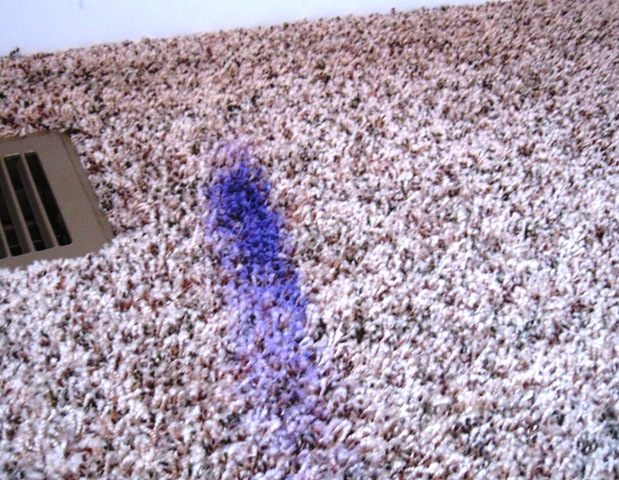 acrylic paint in carpet