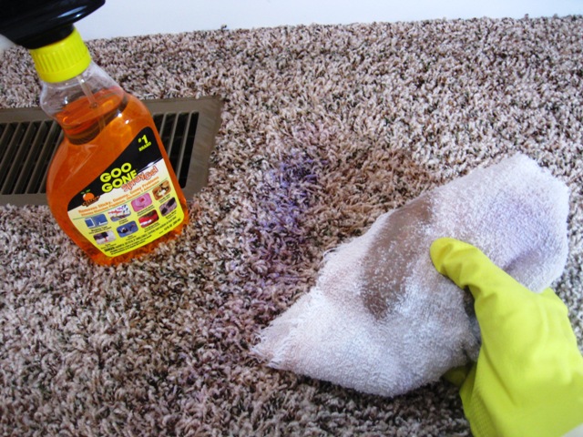 How to remove acrylic paint from carpet Sweet Purple Tulips