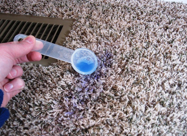 How to remove acrylic paint from carpet Sweet Purple Tulips