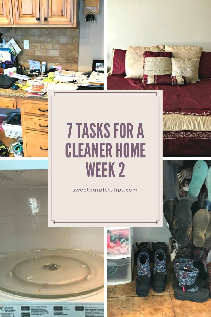 7 Tasks for a Cleaner Home: Week 2