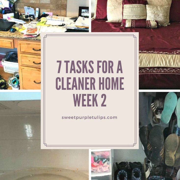 7 tasks for a cleaner home-week 2