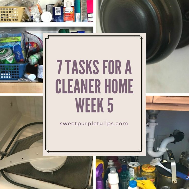 7 Tasks for a Cleaner Home Week 5