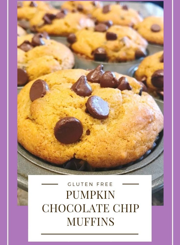 Gluten-Free Pumpkin Chocolate Chip Muffins