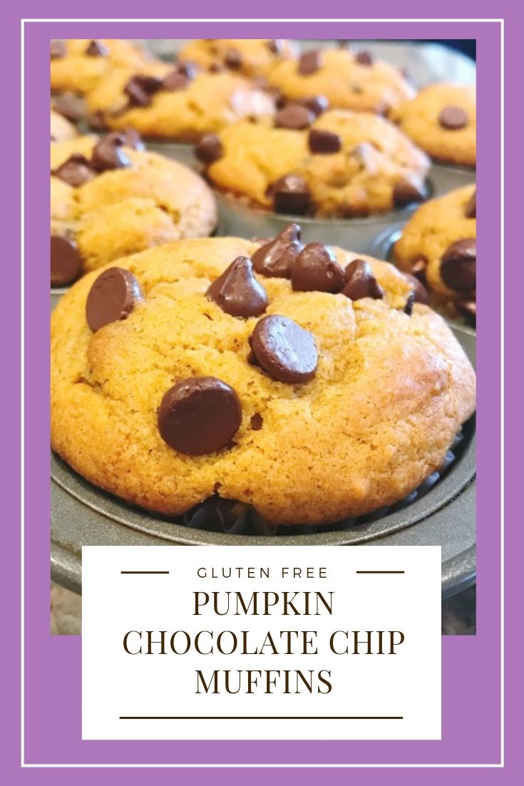 Gluten-Free Pumpkin Chocolate Chip Muffins