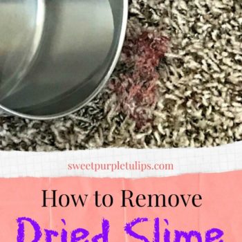 How to Remove Slime From Carpet