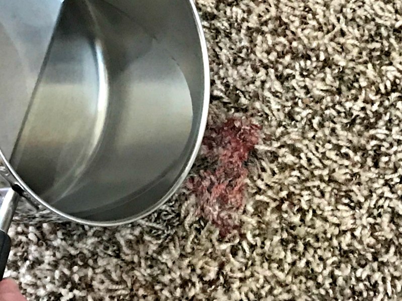 how to get slime out of carpet